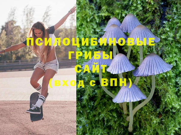 ECSTASY Армянск