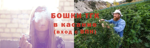 прущая мука Арсеньев